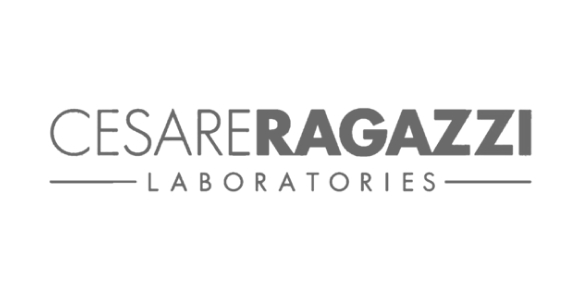 Partner 4